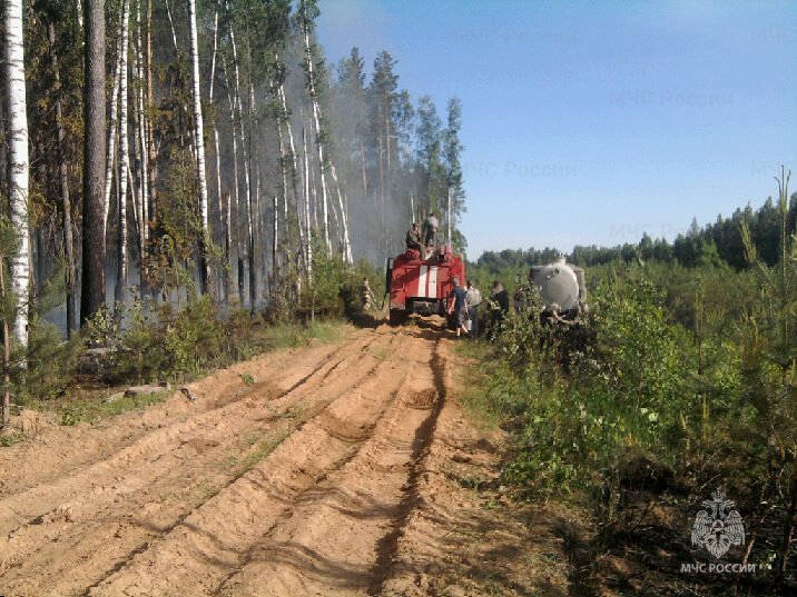 Лесной пожар вблизи н.п. Есиплево Заволжского района Ивановской области